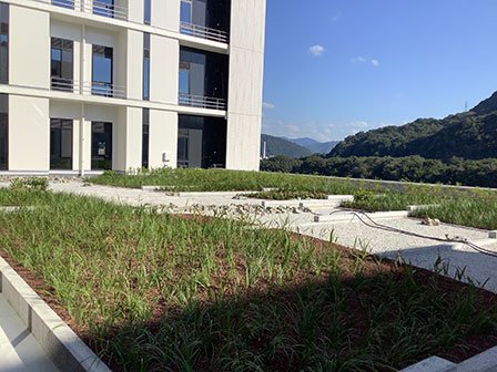 植栽中の南側屋上庭園 写真