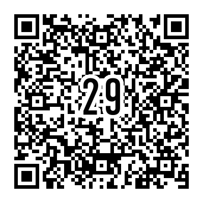 QR_no29.png