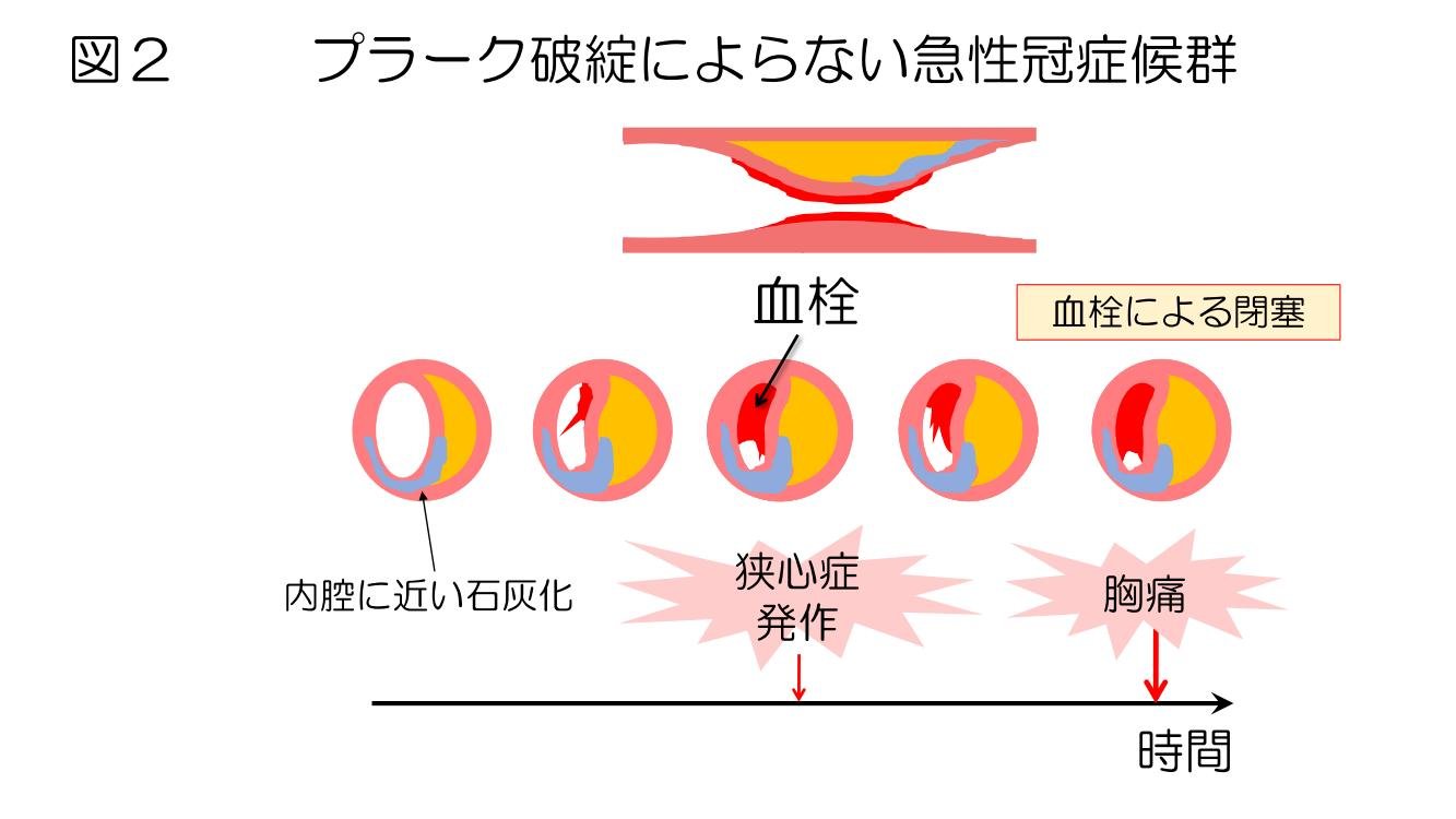 cardiovascular-medicine_HP10.jpg