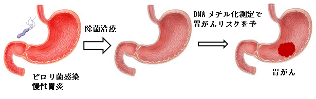 mame54_pylori